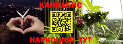 прущие крисы Кандалакша