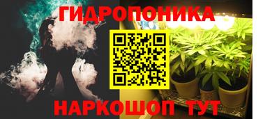 прущие крисы Кандалакша