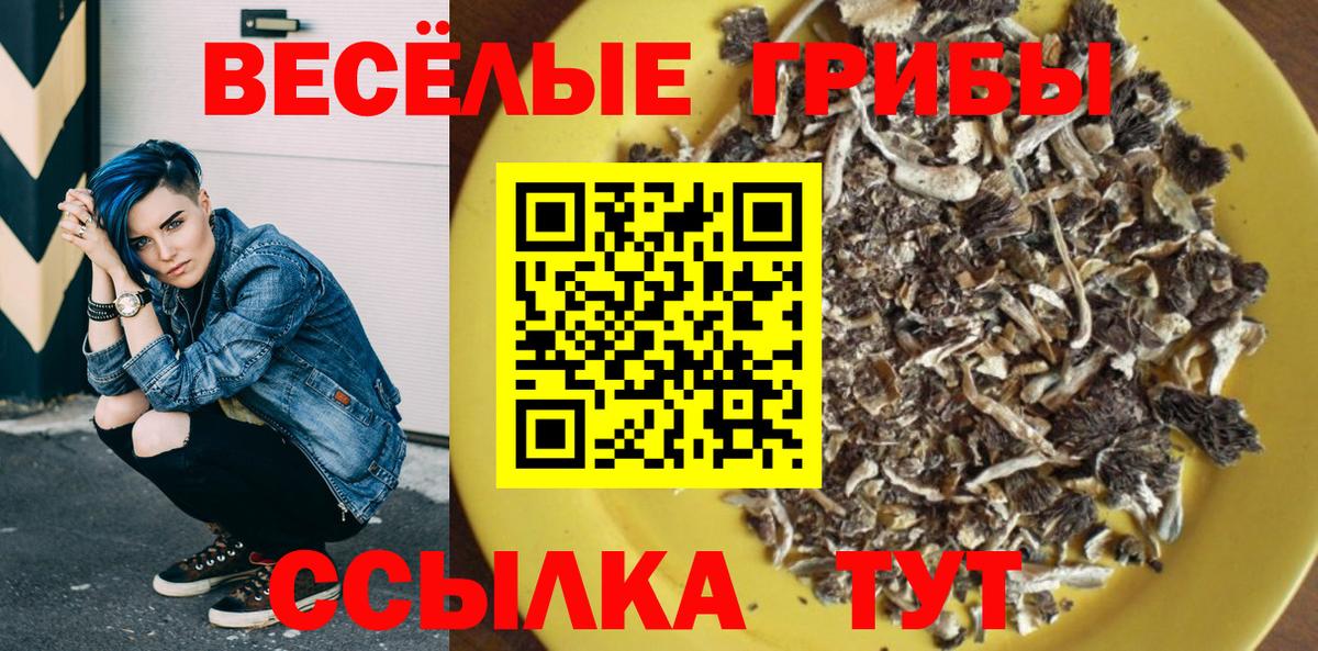Псилоцибиновые грибы прущие грибы Магадан