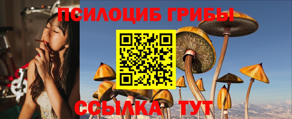 Магадан  Галлюциногенные грибы Cubensis  Вход с VPN 